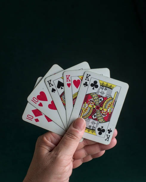 Live dealer studio for Dragon Tiger on malukutoto togel